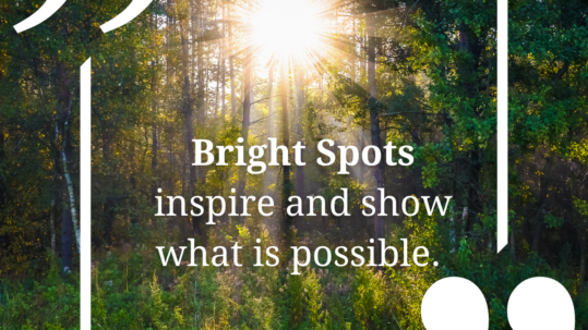Bright spots